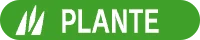 Plante