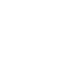 Insecte