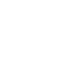 Icone Dragon