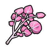 Épice Secrète Sucrée