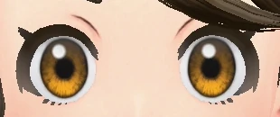 Cils C3