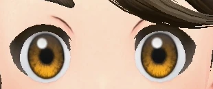 Cils D1