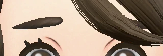 Sourcils C3