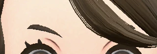 Sourcils D1
