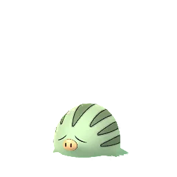 Pokémon GO - Marcacrin