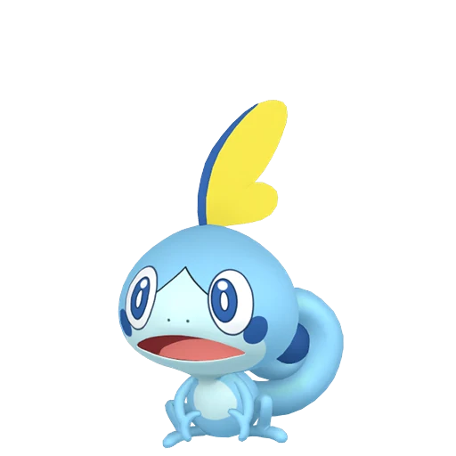 816