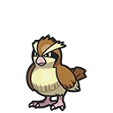 Roucool - Pidgey