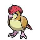 Roucoups - Pidgeotto