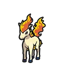 Ponyta - Ponyta