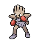 Tygnon - Hitmonchan