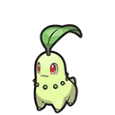 Germignon - Chikorita
