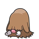 Cochignon - Piloswine