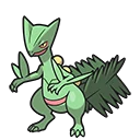 Jungko - Sceptile