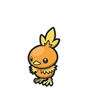 Poussifeu - Torchic