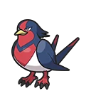 Hélédelle - Swellow