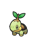 Tortipouss - Turtwig