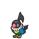 Pijako - Chatot