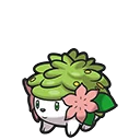 Shaymin - Shaymin