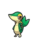 Vipélierre - Snivy