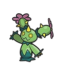 Maracachi - Maractus