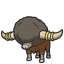 Frison - Bouffalant