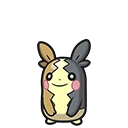 Morpeko - Morpeko