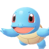 Carapuce | Squirtle | ゼニガメ