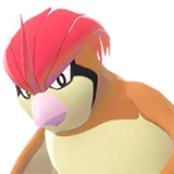 Roucoups | Pidgeotto | ピジョン