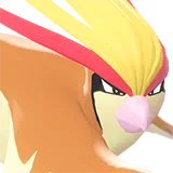 Roucarnage