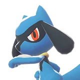 Numéro 135 Illumis - Riolu