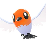 Passerouge | Fletchling | ヤヤコマ