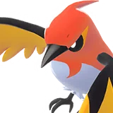 Braisillon | Fletchinder | ヒノヤコマ