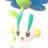 Floette | Floette | フラエッテ