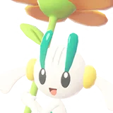 Floette | Floette | フラエッテ