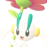 Floette | Floette | フラエッテ
