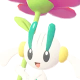 Floette | Floette | フラエッテ