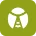 Insecte