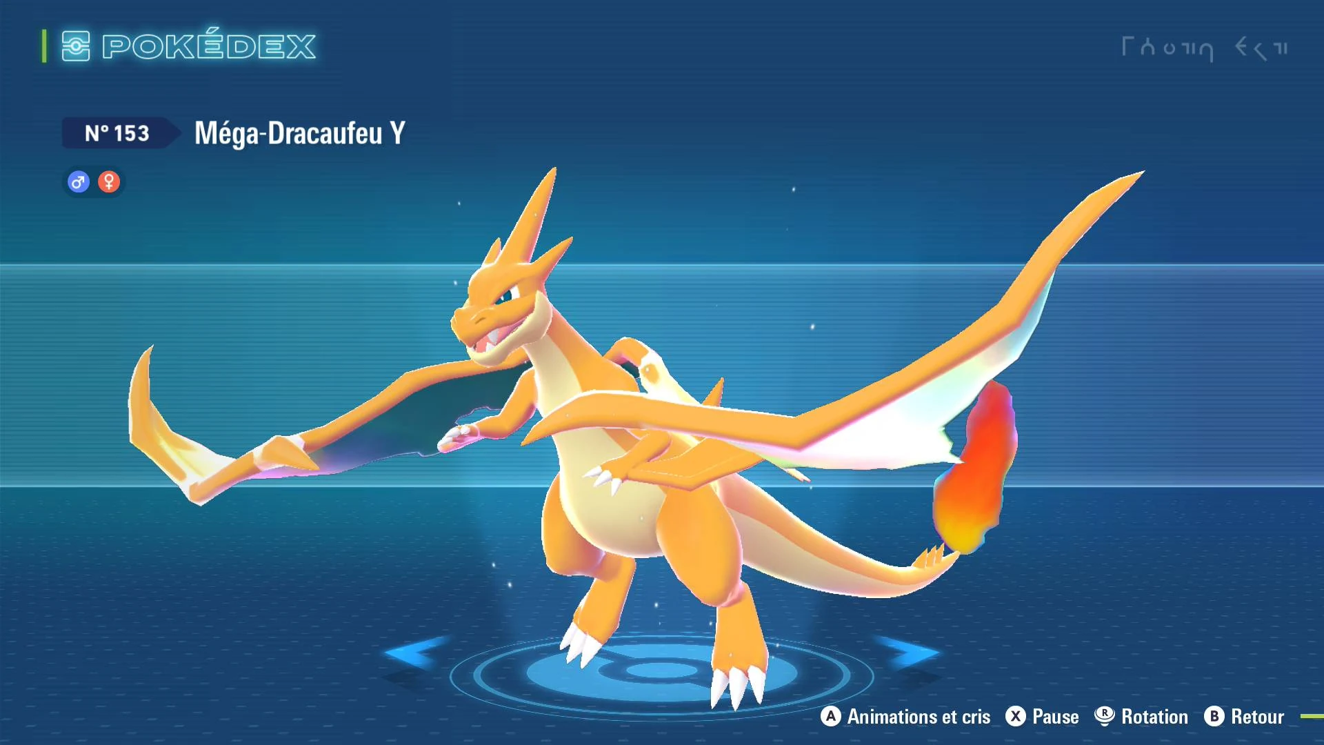 Méga-Dracaufeu Y