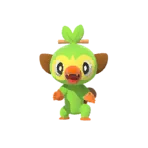 -