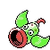 Boustiflor Weepinbell ウツドン