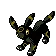 Noctali Umbreon ブラッキー