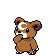 Teddiursa Teddiursa ヒメグマ