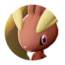 428