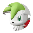 492