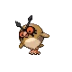 Hoothoot Hoothoot ホーホー