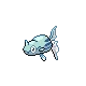 Rémoraid Remoraid テッポウオ