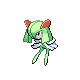 Kirlia Kirlia キルリア