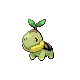 Tortipouss Turtwig ナエトル