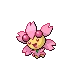 Ceriflor Temps Ensoleillé Cherrim チェリム