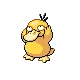 Psykokwak Psyduck コダック